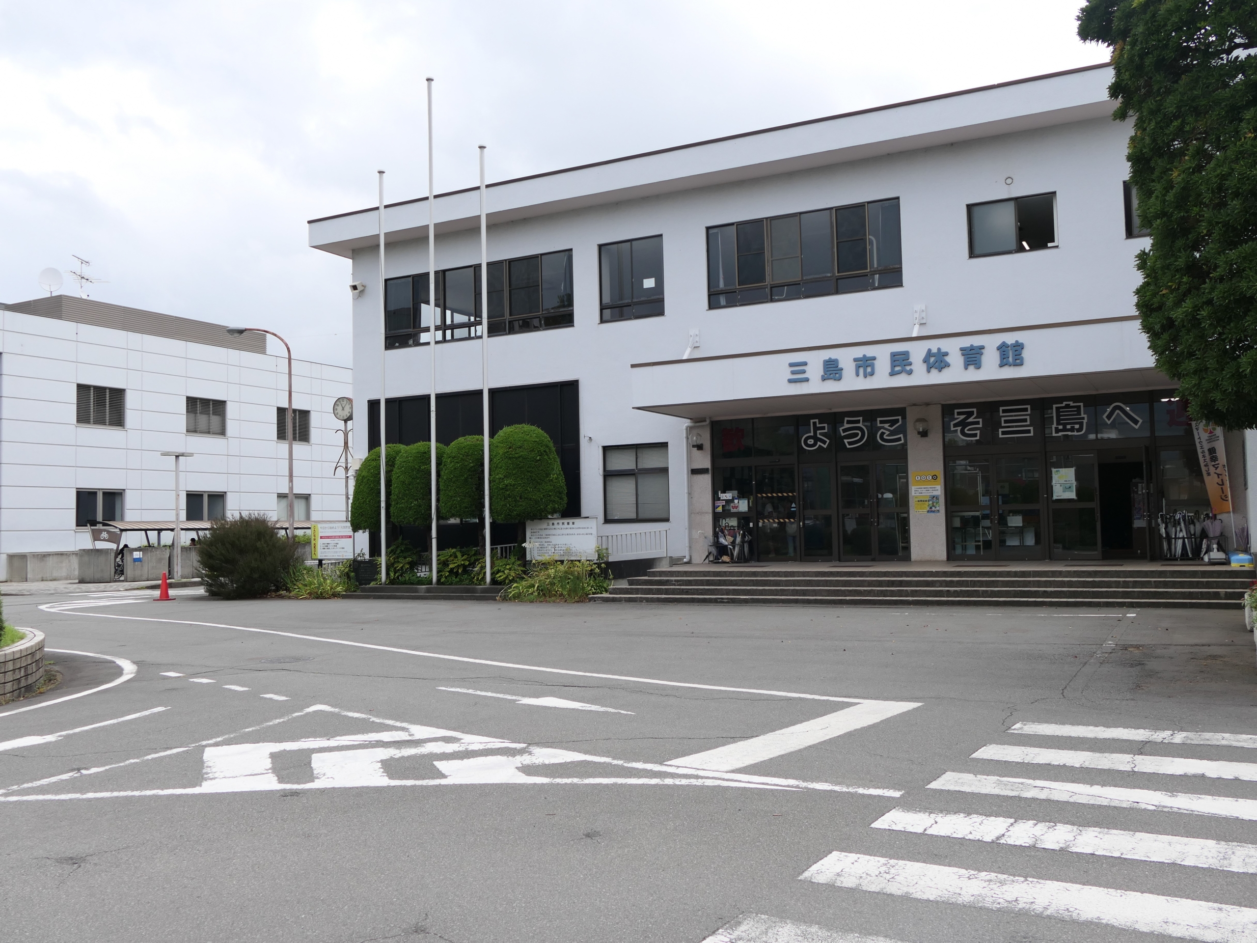 活動歴および当時の関連ビジュアル記録