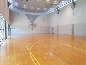 アミューズ豊田 サブアリーナ