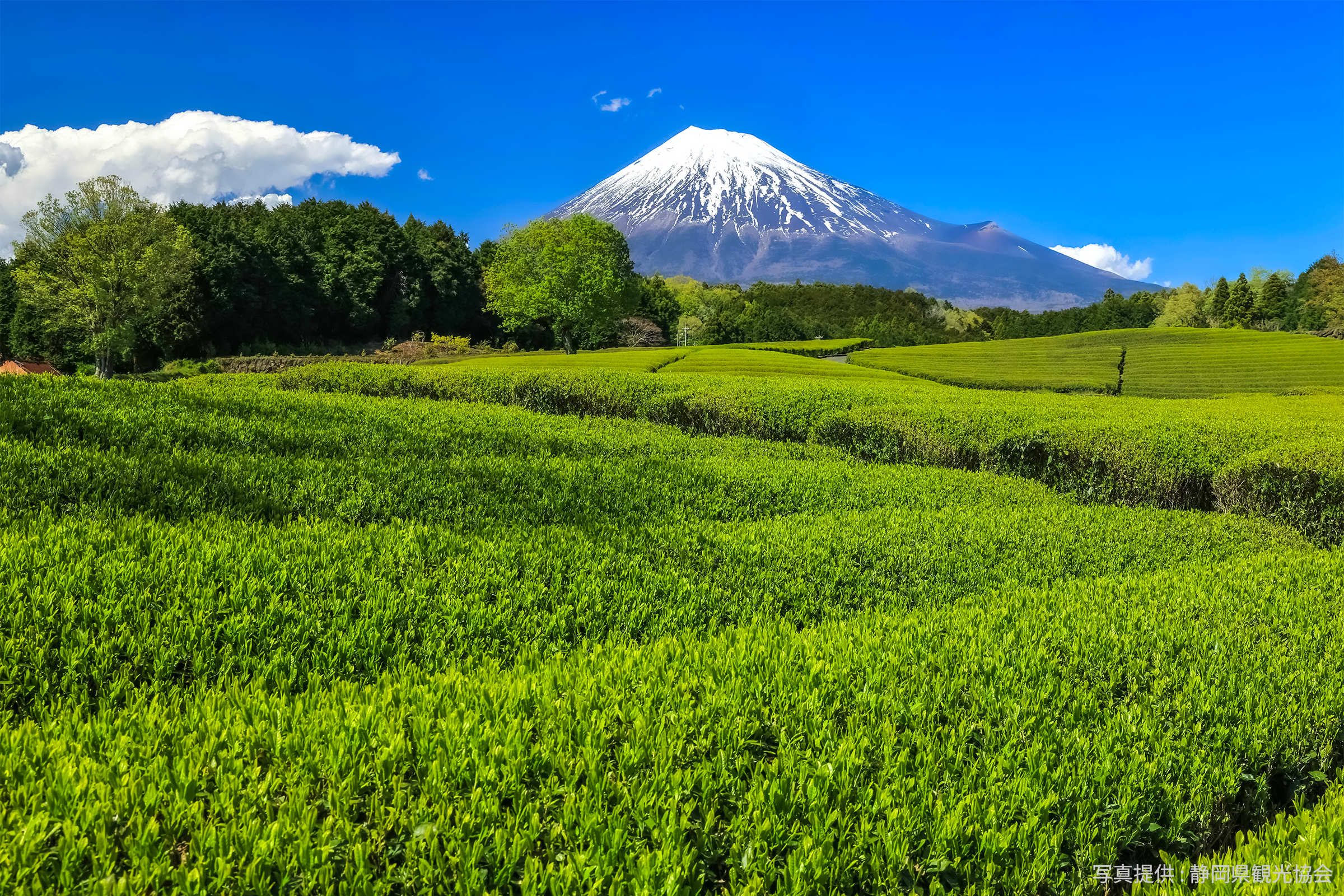 富士山