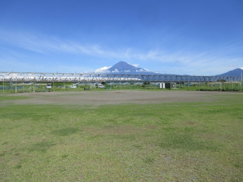 富士川緑地右岸野球場 野球場4