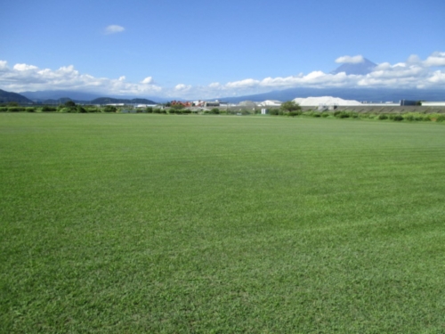 富士川緑地公園 グラウンド2