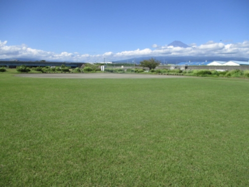 富士川緑地公園 グラウンド3