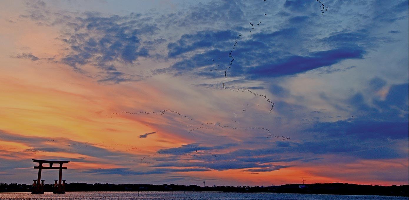 サイクリング西部エリアヒーロー画像 サイクリング西部エリアヒーロー画像