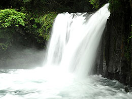 河津町の河津七滝