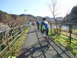 河津川沿いの遊歩道