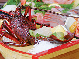 伊豆の伊勢海老料理