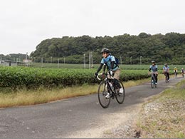 茶園風景 茶園風景