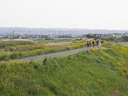 菊川堤防 菊川堤防