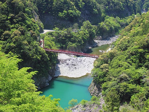 新緑と天竜川 新緑と天竜川