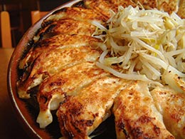 浜松餃子 浜松餃子