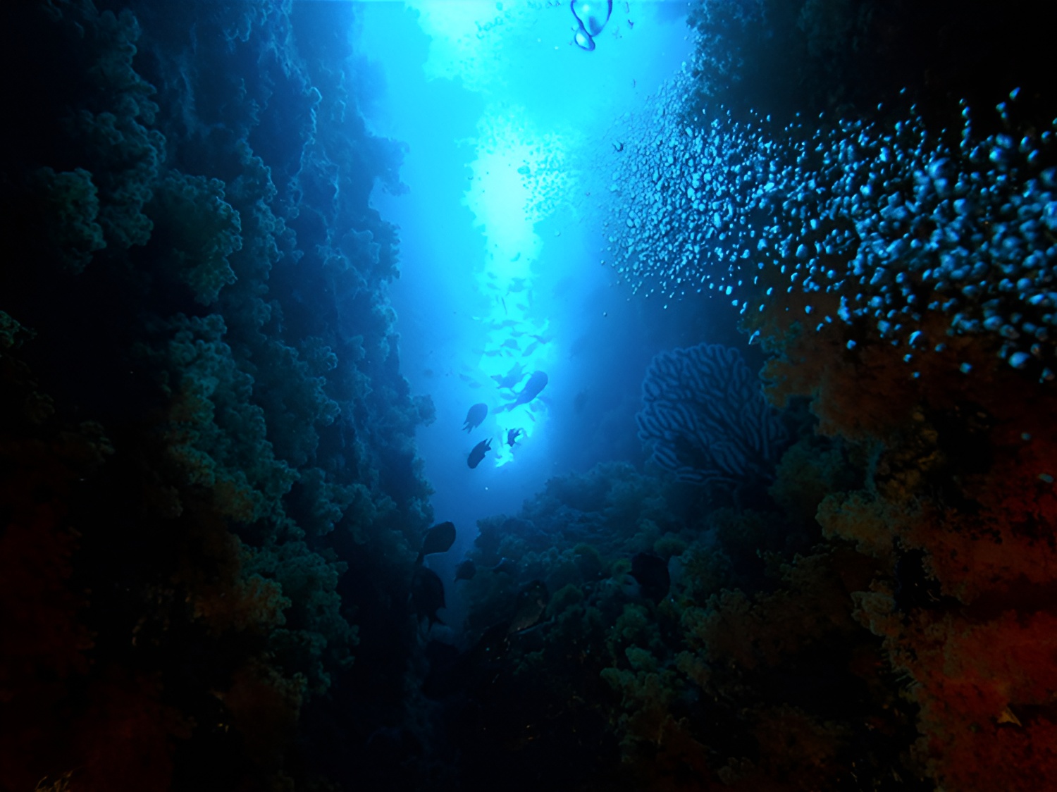 ウォーターサイトスポット東部伊豆エリア土肥