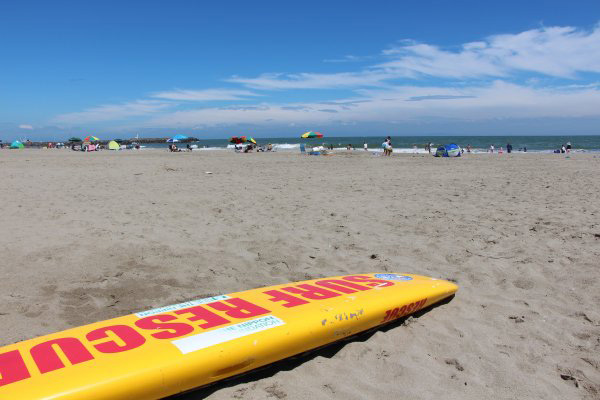 さがらサンビーチの全景